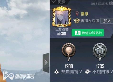 和平精英辅助《印度人》容器直装稳定无限连打